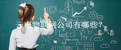 云南物聯網公司