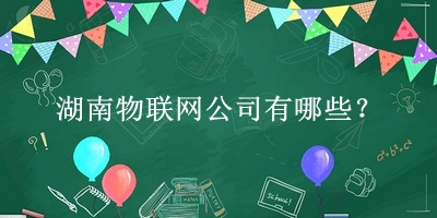 湖南物聯網公司